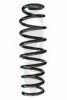 SPIDAN 85540 Coil Spring